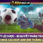 Tỷ Lệ Cược - Bí Quyết Phân Tích Kèo Nhà Cái Giúp Anh Em Thắng Lớn